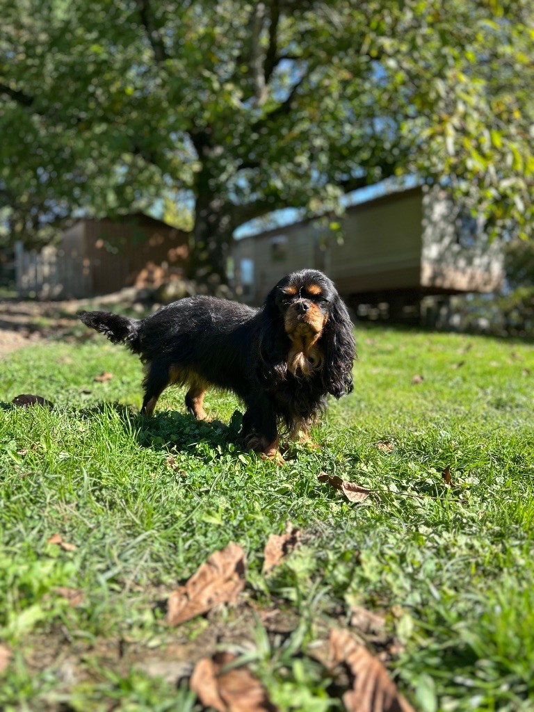 Ushuaia Des Grands Reves Du Sud