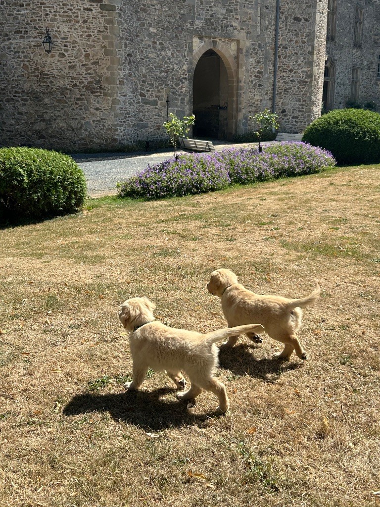 Balade au chateau de Pompadour